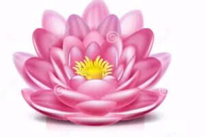 Almeerse Pedicuresalon en Schoonheidssalon Tasja’s Care