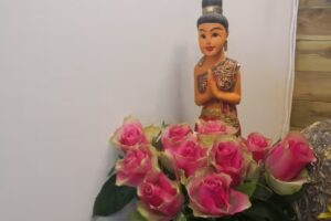 Artiscent Wellness Alkmaar