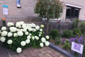 Beauté Bianca Schoonheidssalon