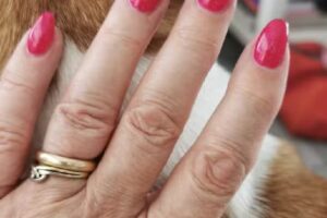 Beauty by Thorn/ Sunnails