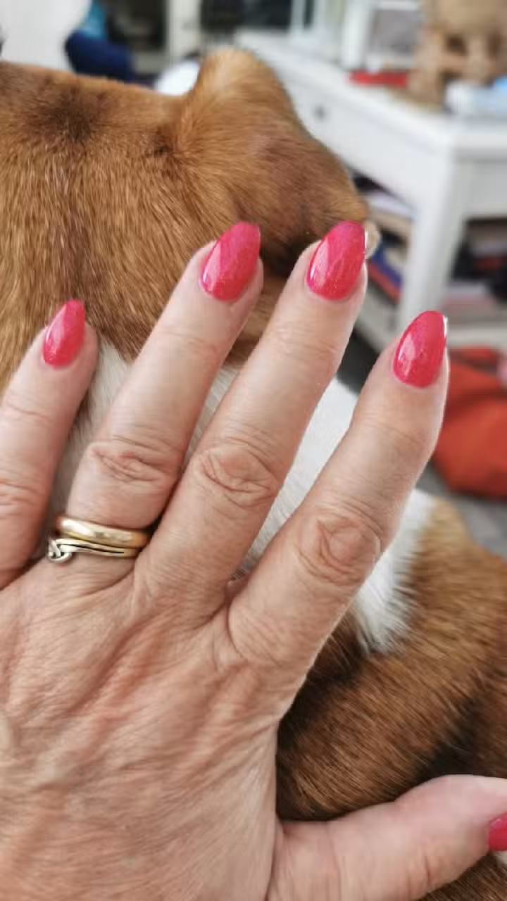 Beauty by Thorn/ Sunnails