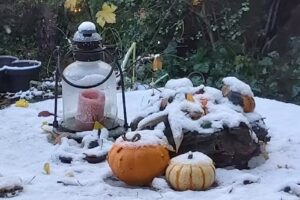 Beauty Center Cosmé