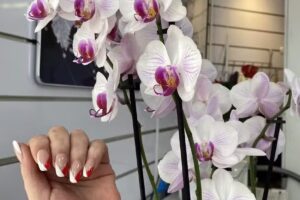Beauty Nails – Huizen