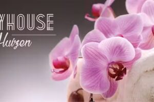 Beautyhouse van Huizen