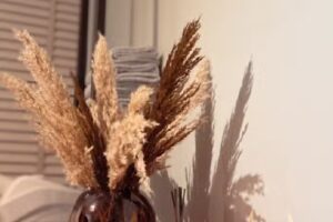 Bij Jessie Schoonheidssalon