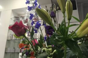 day&night hairdressers