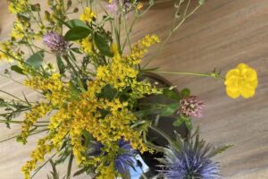 De Groene Beauty Experts