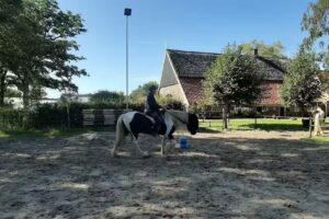 Feetcare Hof van Twente