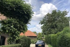 Fine Feet Nederasselt (pedicuresalon)