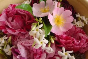 Floressence Natuurlijke Huidverzorging | Schoonheidssalon