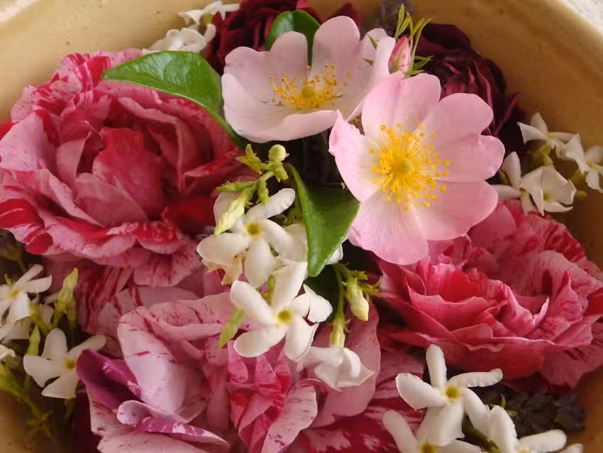 Floressence Natuurlijke Huidverzorging | Schoonheidssalon