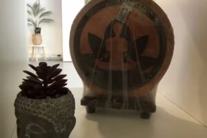 Hl Health Care And Vitality