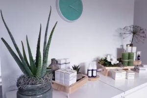 Huidtherapeut & Schoonheidssalon Moaij