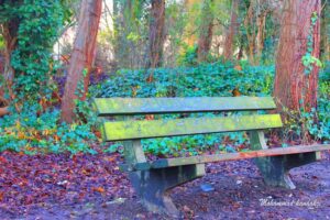 Instituut Mademoiselle