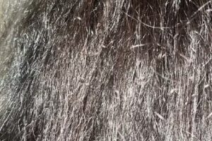 Kiymet’s Beauty Salon