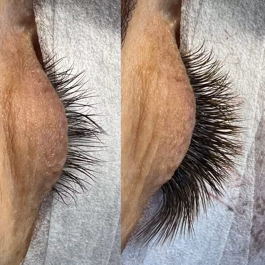 Lash Expert Alkmaar