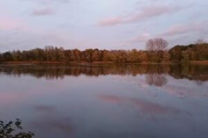 Luxury Naildesign 💅