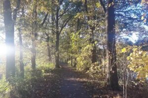 Marit’s beauty bar