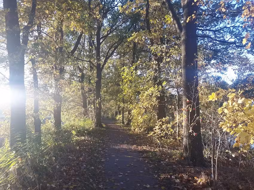 Marit’s beauty bar