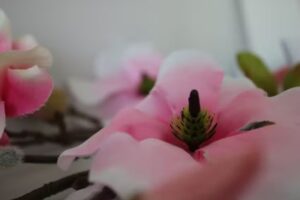 Moana Beauty and nails