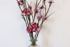 Pedicure Nadine van Tol