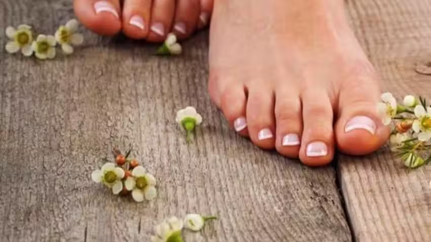 Pedicure praktijk Christine van der Meule