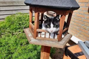 Pedicure Praktijk Lotte