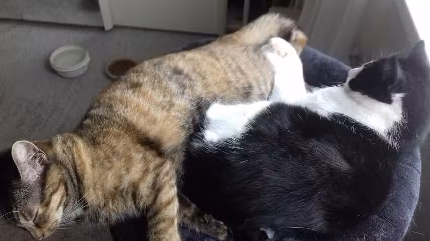 Pedicure Praktijk Lotte