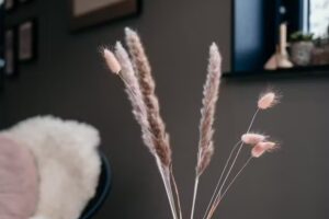 Pedicure Praktijk Minousch