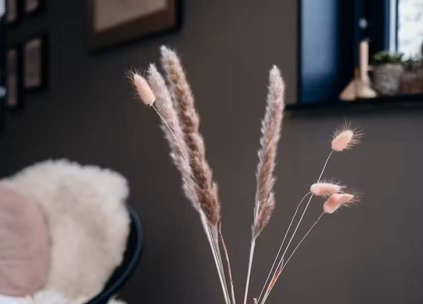 Pedicure Praktijk Minousch