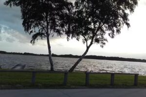 Pedicure Praktijk Roelinda – Echtenerbrug