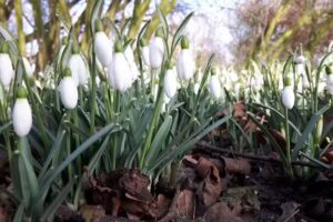 Pedicure Yvonne Oudendorp