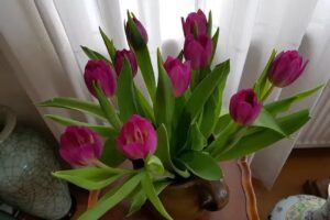 Pedicurepraktijk Best4Feet