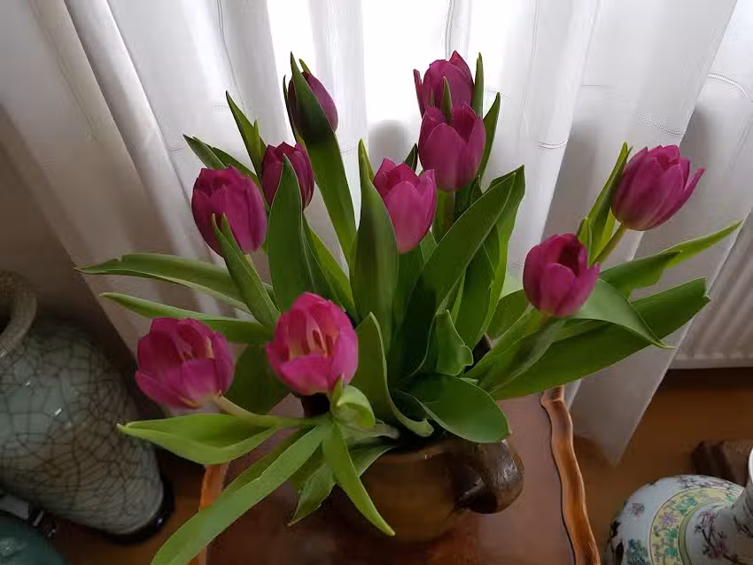 Pedicurepraktijk Best4Feet