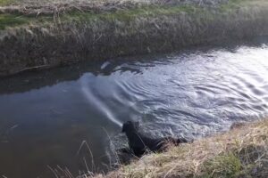 Pedicurepraktijk Franeker Mirjam Schaafsma