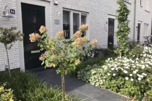 Pedicurepraktijk Hilda