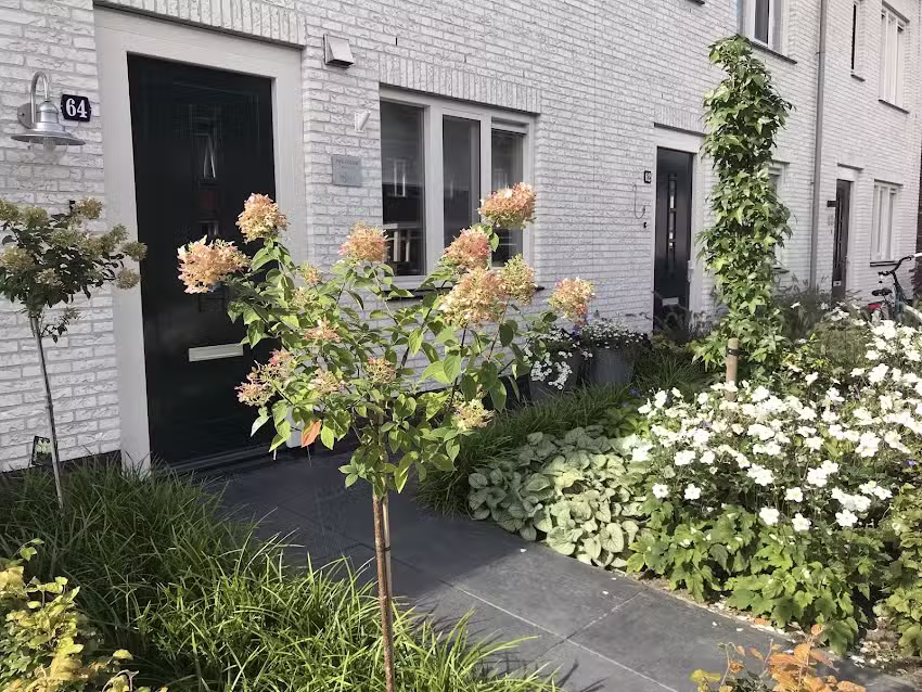 Pedicurepraktijk Hilda