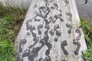 Praktijk Voetzorg & Zo