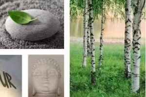 PUUR wellness & massage