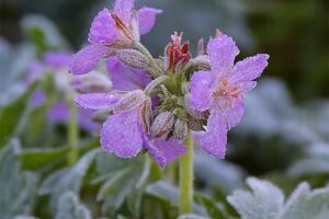 Remise En Forme Schoonheidssalon