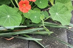 Rita’s Hair & Nail Studio