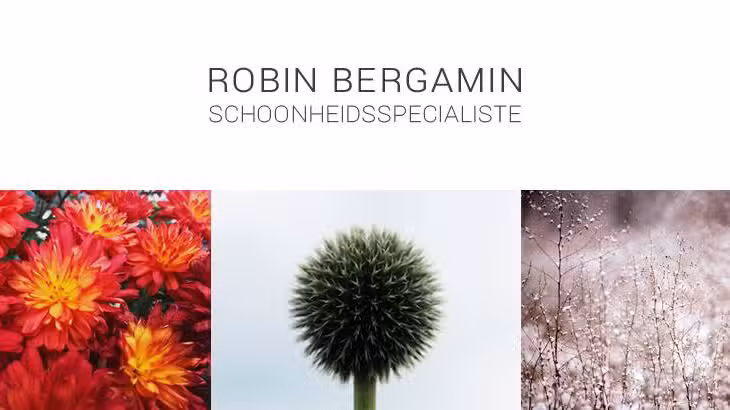Robin Bergamin