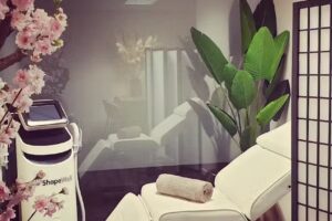 ROYCE BODY BLISS | EMS | voor vetvermindering & spieropbouw | en versterken bekkenbodem