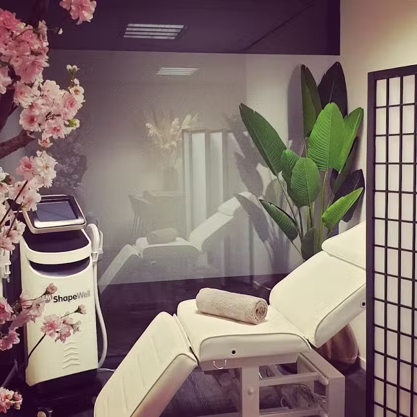 ROYCE BODY BLISS | EMS | voor vetvermindering & spieropbouw | en versterken bekkenbodem