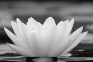 Schoonheidssalon Joyful You