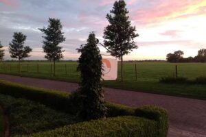 Schoonheidssalon “Natuurlijk Mooi”