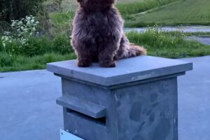 Schoonheidssalon Toujours