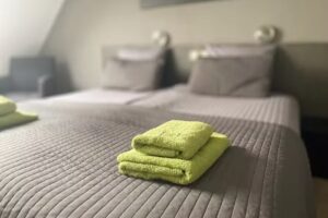 Spabron Hesselerbrug