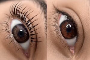 The Lash Bar Rotterdam