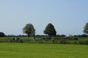 Thermen & Beautycentrum “Anholts” Schoonebeek V.O.F.